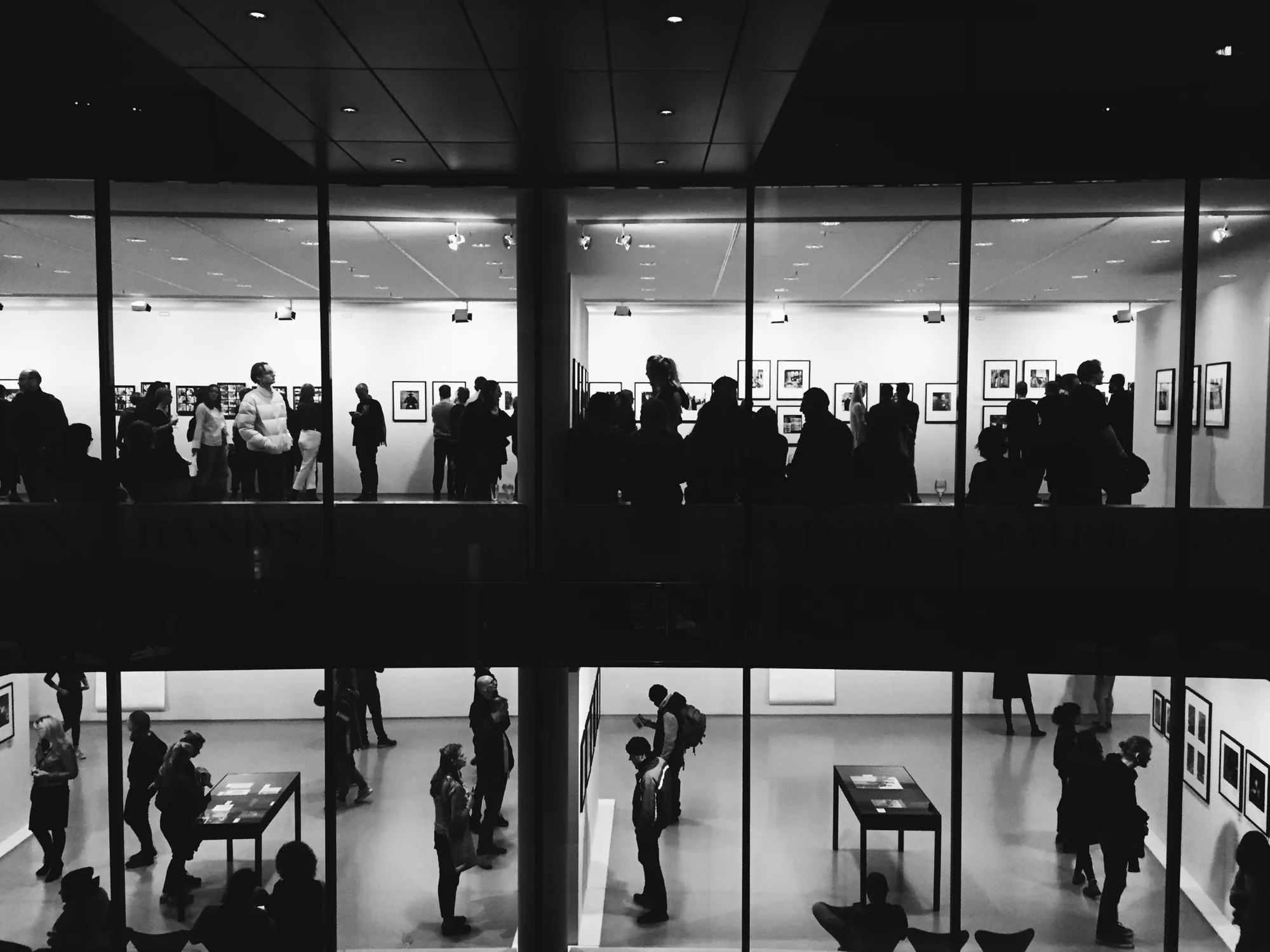 Photograph by Andrés González